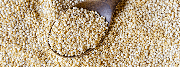 La quinoa: Un alimento sano y muy nutritivo